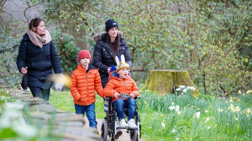 A family walk along a garden path surrounded by daffodils